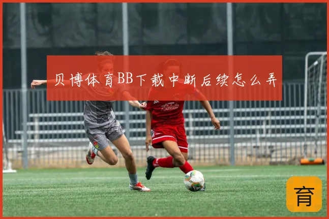 贝博体育BB下载中断后续怎么弄