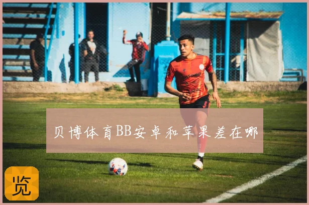 贝博体育BB安卓和苹果差在哪